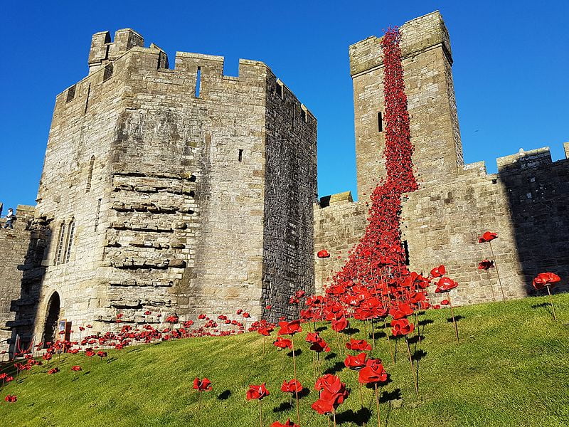 Poppies Sculpture, Caernarfon Castle