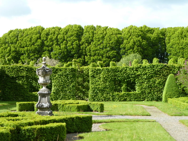 Another view that can be seen on Birr Castle's garden.