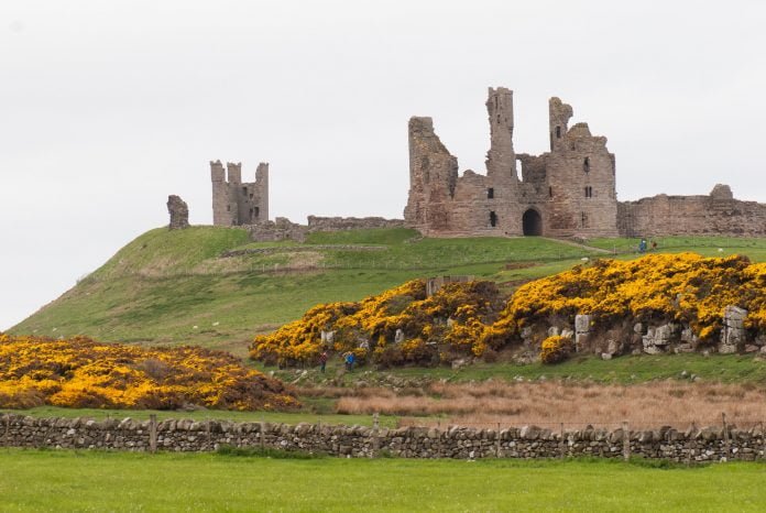 The picturesque surroundings of Dunstanburgh Castle.