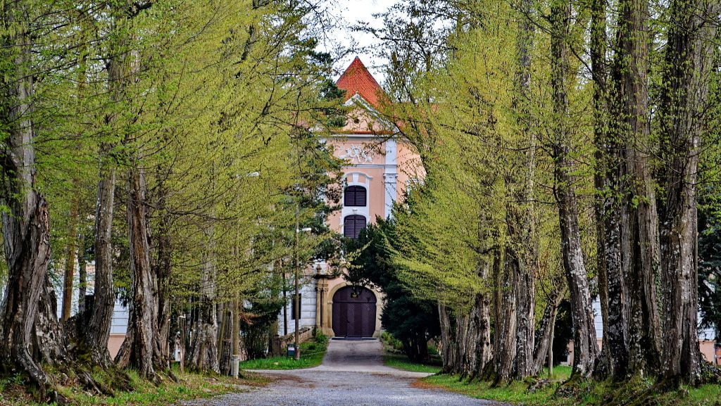 The entrance to Orsic Castle surrounded by green tall trees.
