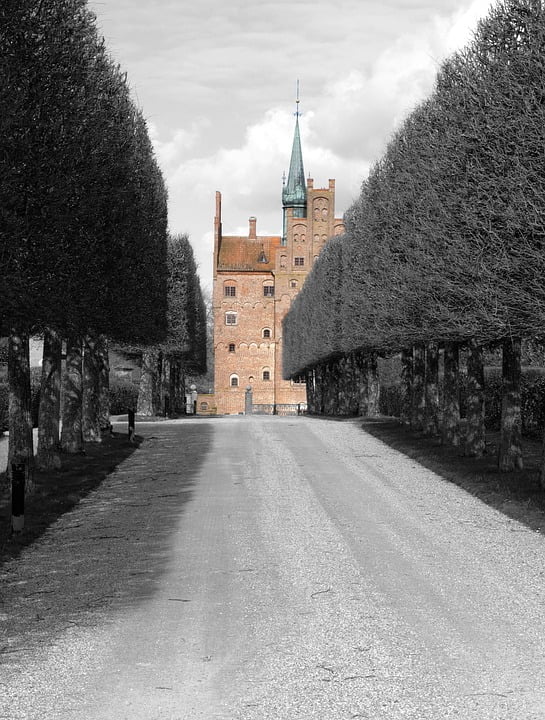 Egeskov “Oak Forest” Castle’s access road.