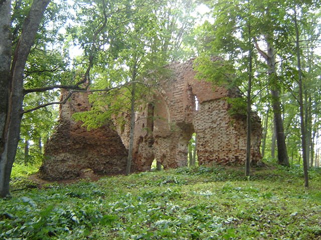 Rõngu Castle ruins in the middle of the green forest.