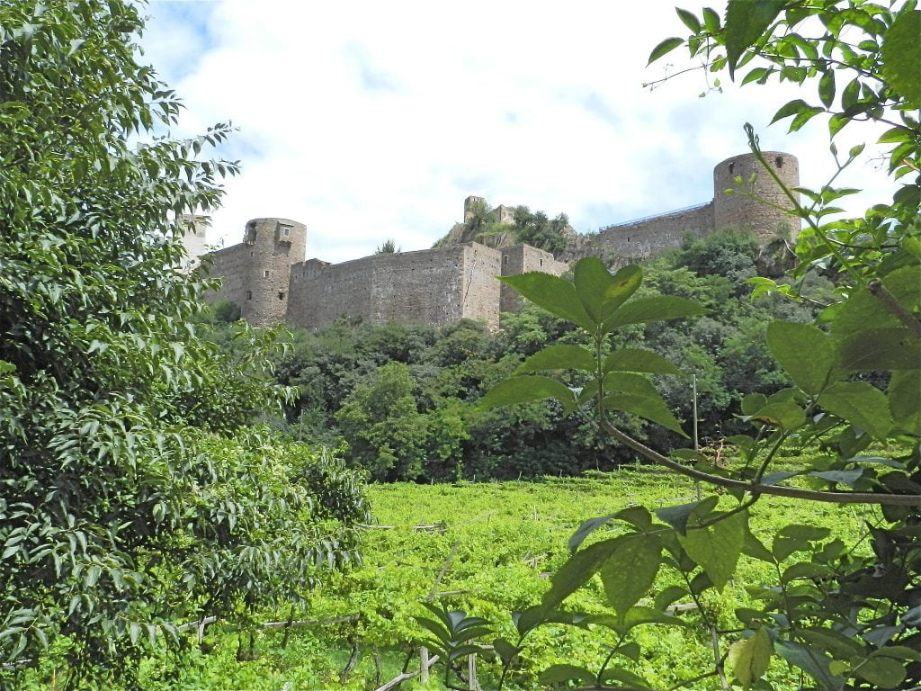 Sigmundskron Castle viewed through branches.