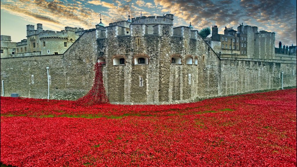 Blood Swept Lands and Seas of Red, the 2014 art installation at the Tower.