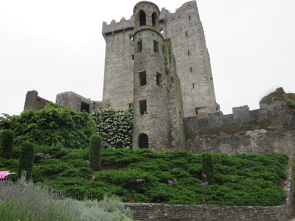 Looking up at Blarney Castle.