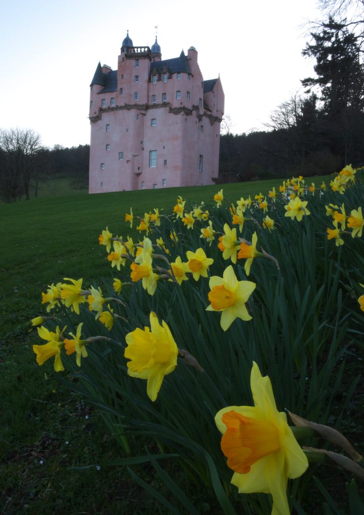 A worm's eye view of Craigievar Castle. 