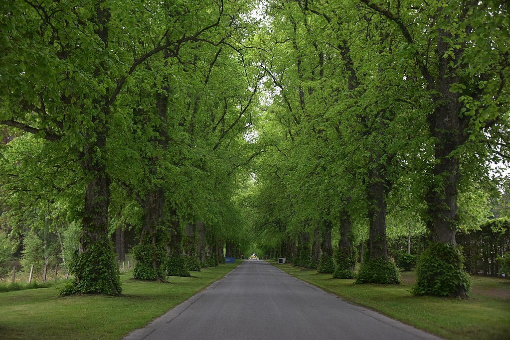 Entrance avenue of Blair Castle. 