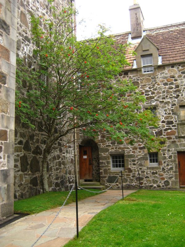 The courtyard at Duart Castle. 
