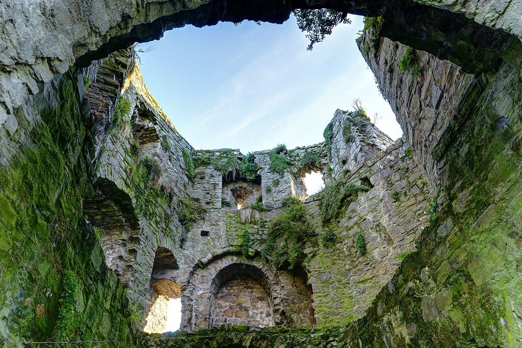 “Inside” view of Trim Castle’s scenic beauty.