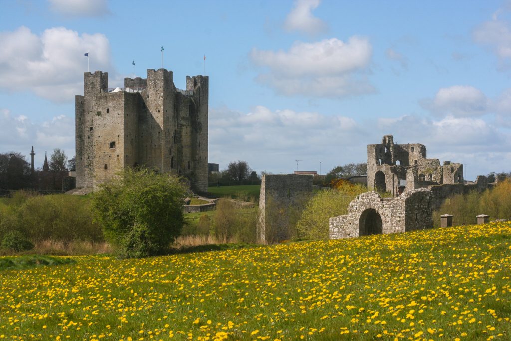 The beautiful view of Trim Castle.